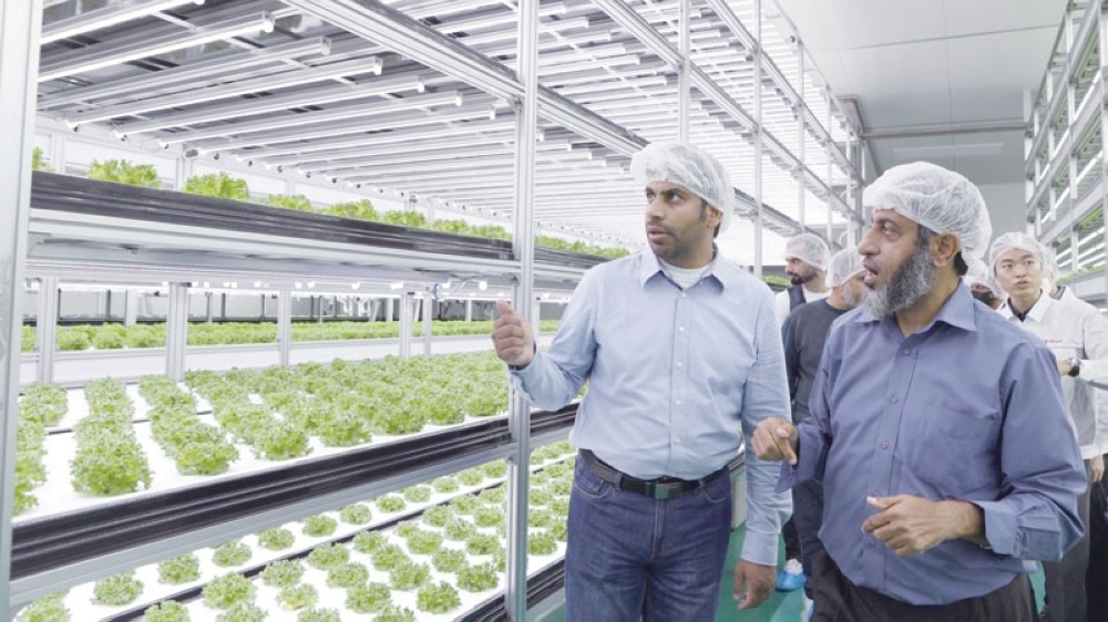 Oman to venture into smart farming - Oman Observer