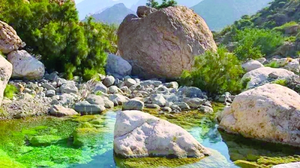 Natural beauty of Wadi Al Shuwaimiyah enthrals