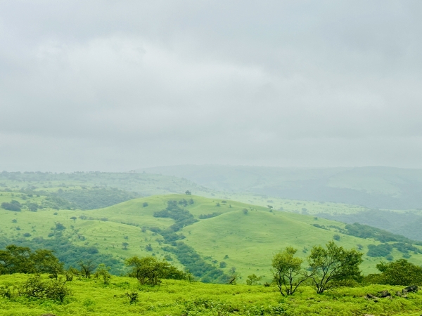 Oman boosts global tourism efforts with new initiatives in Dhofar