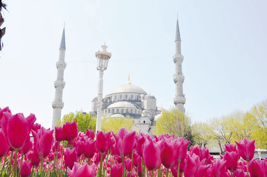 istanbul_tulip_festival_2016_6
